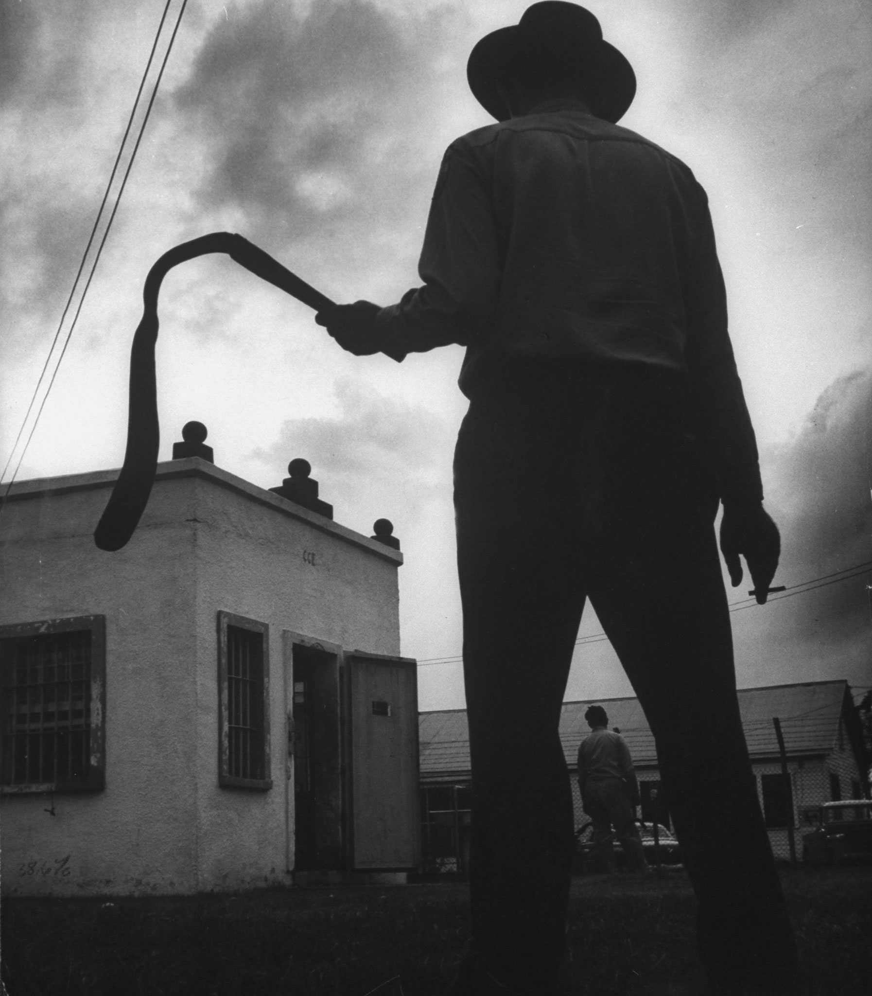 Black and white photograph of man standing holding a whip as he looks on in the distance.  The photograph is taken from behind the man.