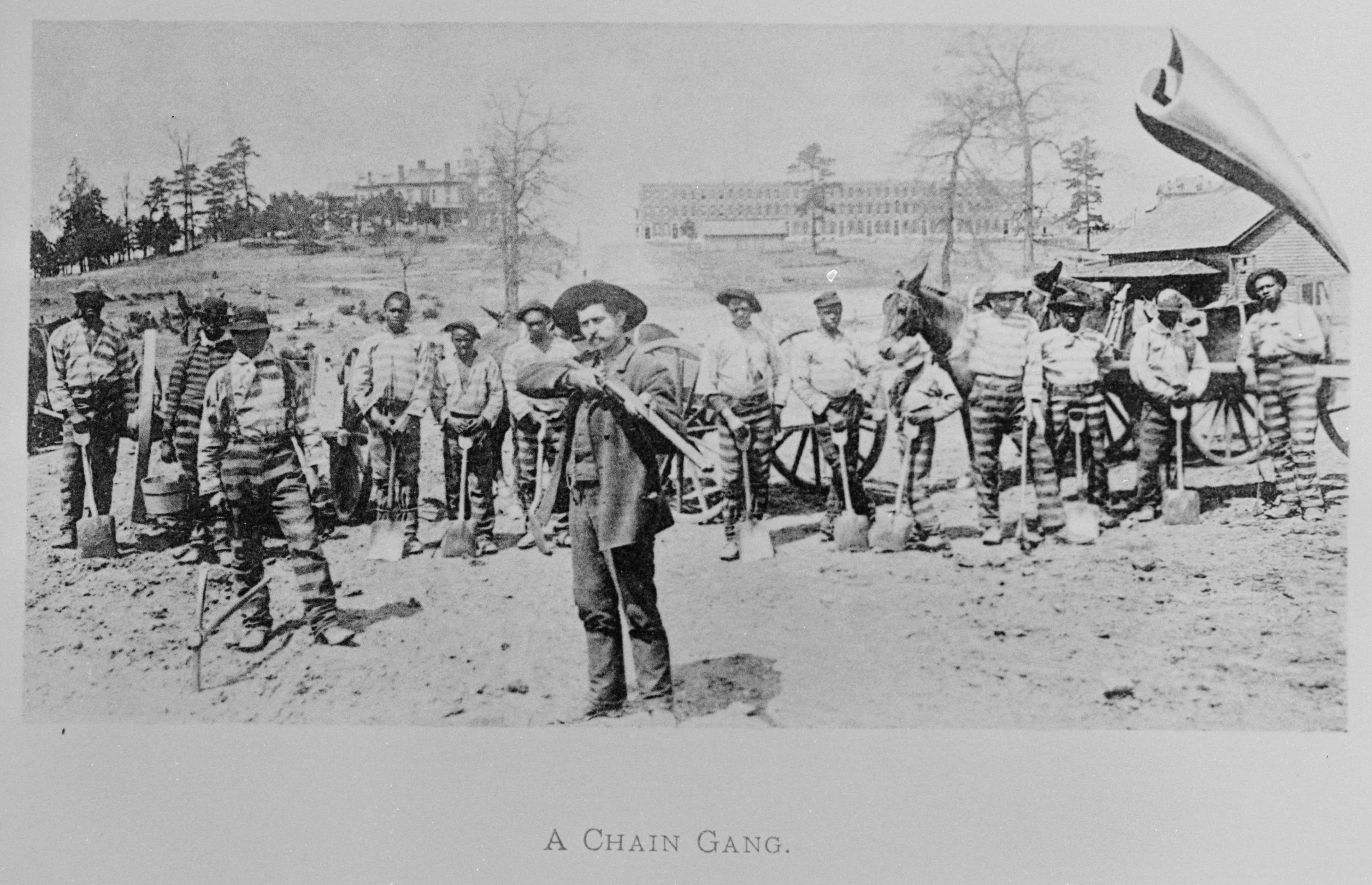 Black and white photograph of of prisoners standing in field, lined up holding shovels.  There is a man standing in foreground pointing a gun.  He is not wearing prison clothes.