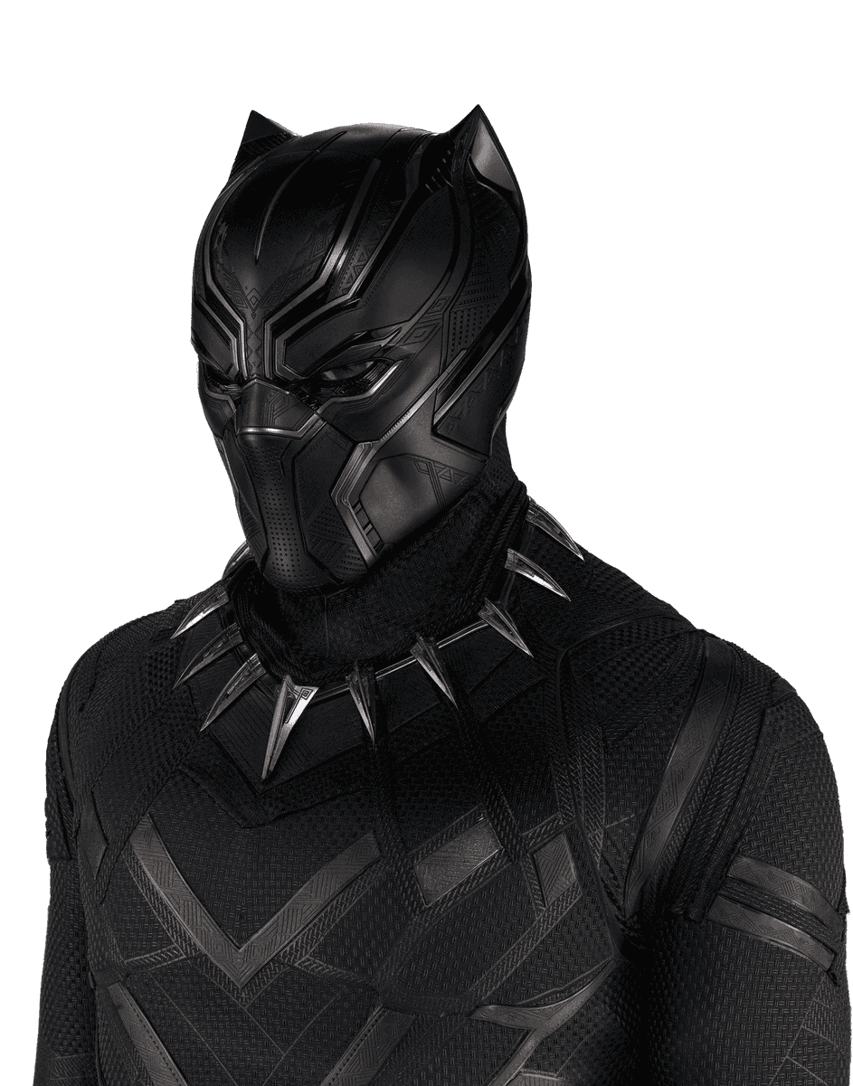 Black Panther Suit | National Museum of African American History & Culture.