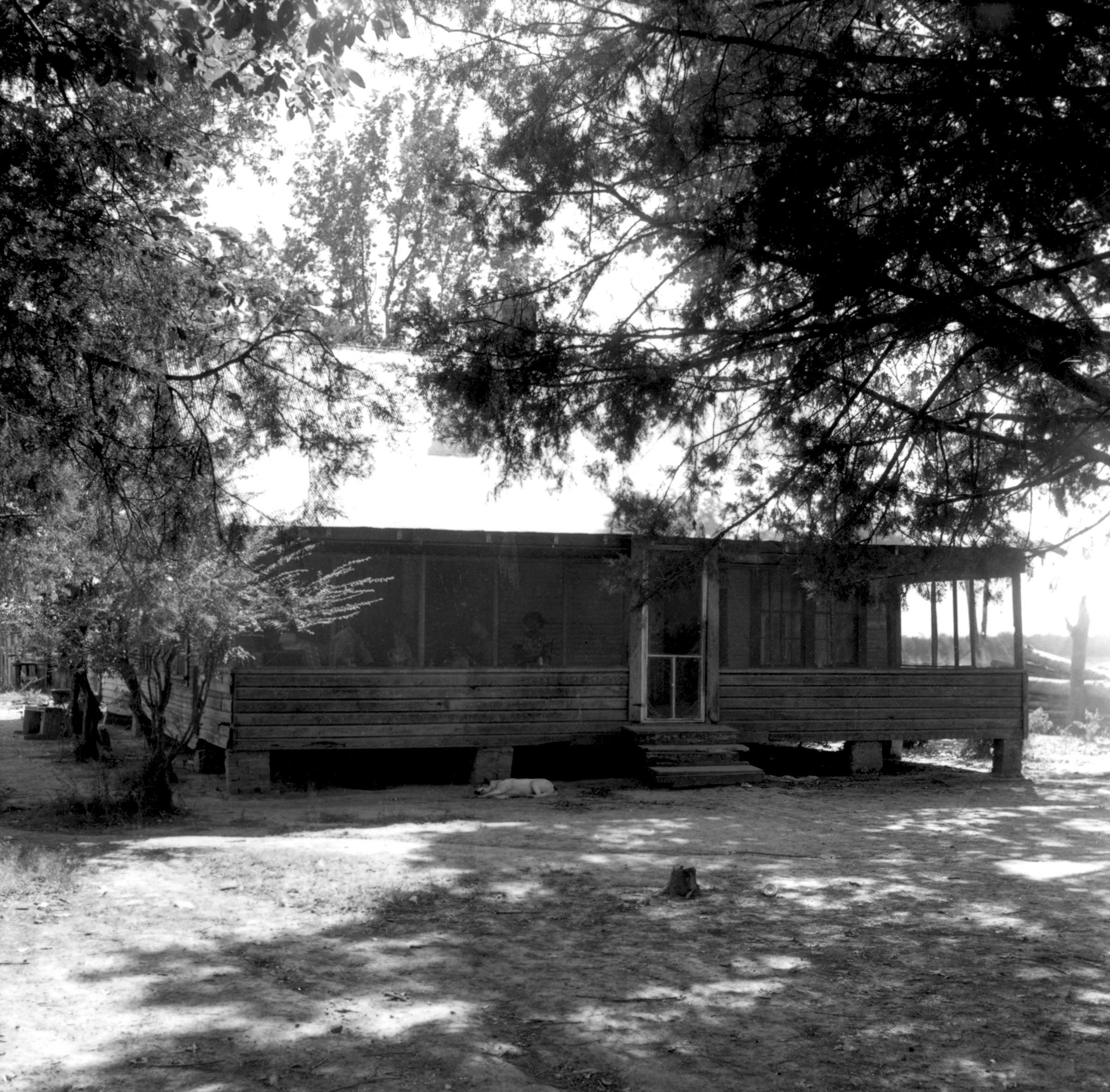 A black and white image of a small wooden logo house. A screened in porch is attached to the front, while a dog sleeps.