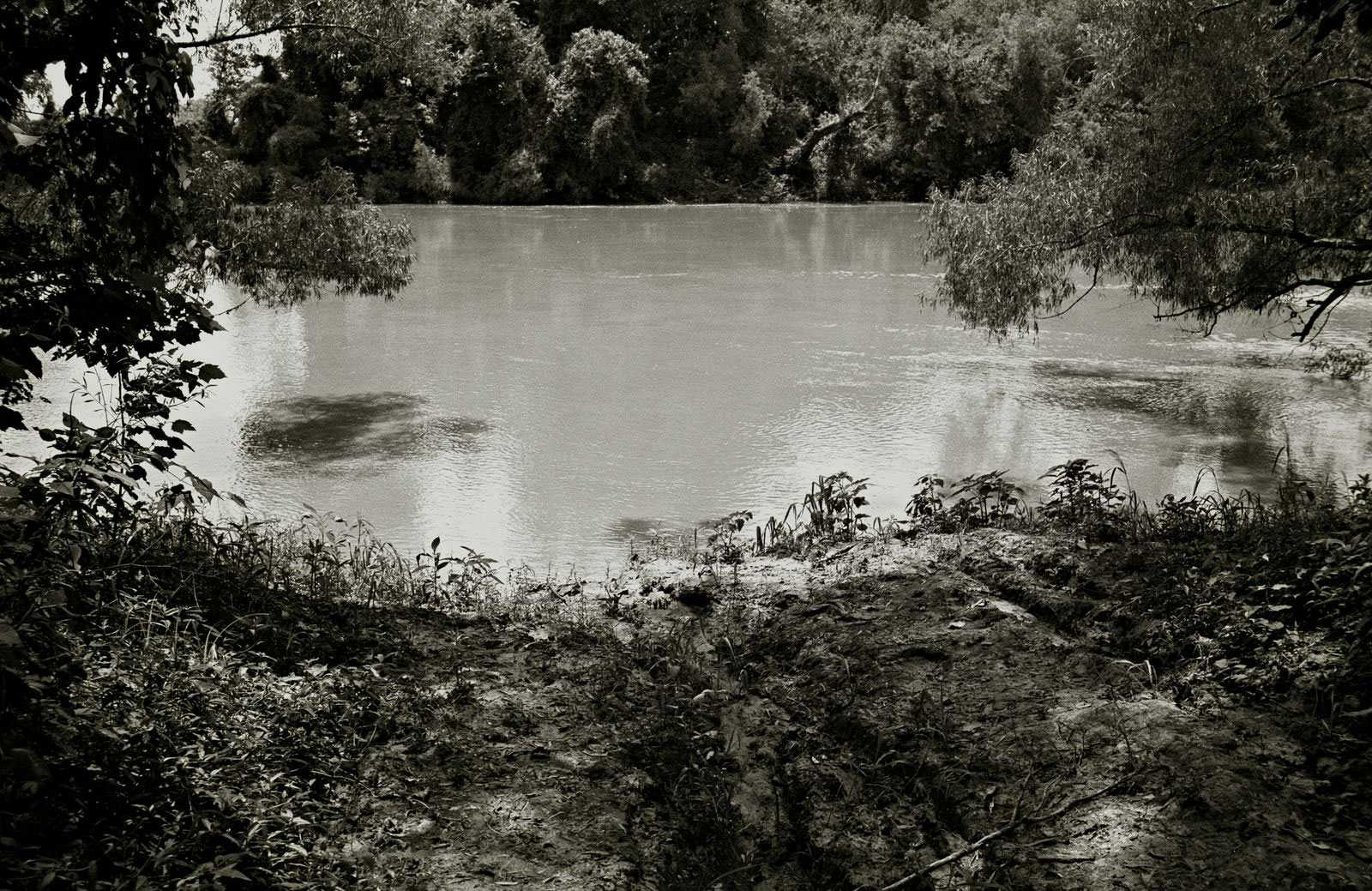 A black and white image of The Tallahatchie River from the river bank. The water is calm and surrounded by trees.